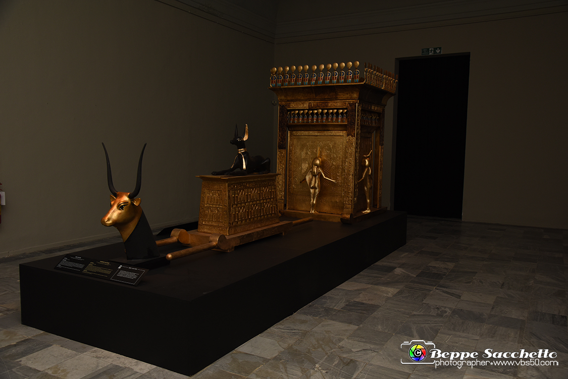 VBS_5187 - Tutankhamon - Viaggio verso l'eternità.jpg